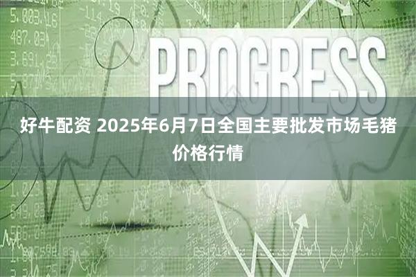 好牛配资 2025年6月7日全国主要批发市场毛猪价格行情