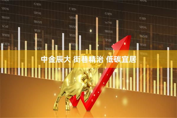 中金辰大 街巷精治 低碳宜居