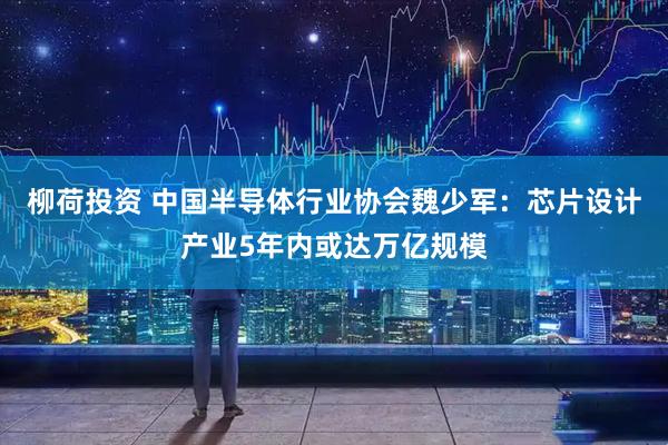 柳荷投资 中国半导体行业协会魏少军：芯片设计产业5年内或达万亿规模