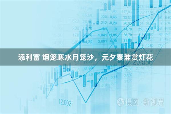 添利富 烟笼寒水月笼沙，元夕秦淮赏灯花
