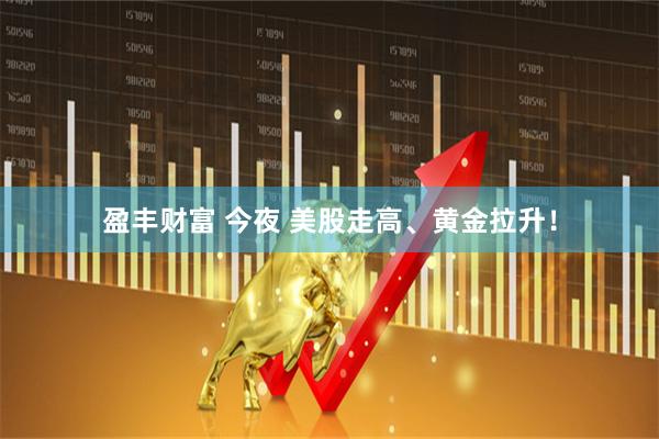 盈丰财富 今夜 美股走高、黄金拉升！